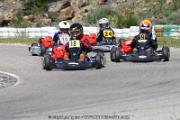 20110501_ales_agnus (3400)